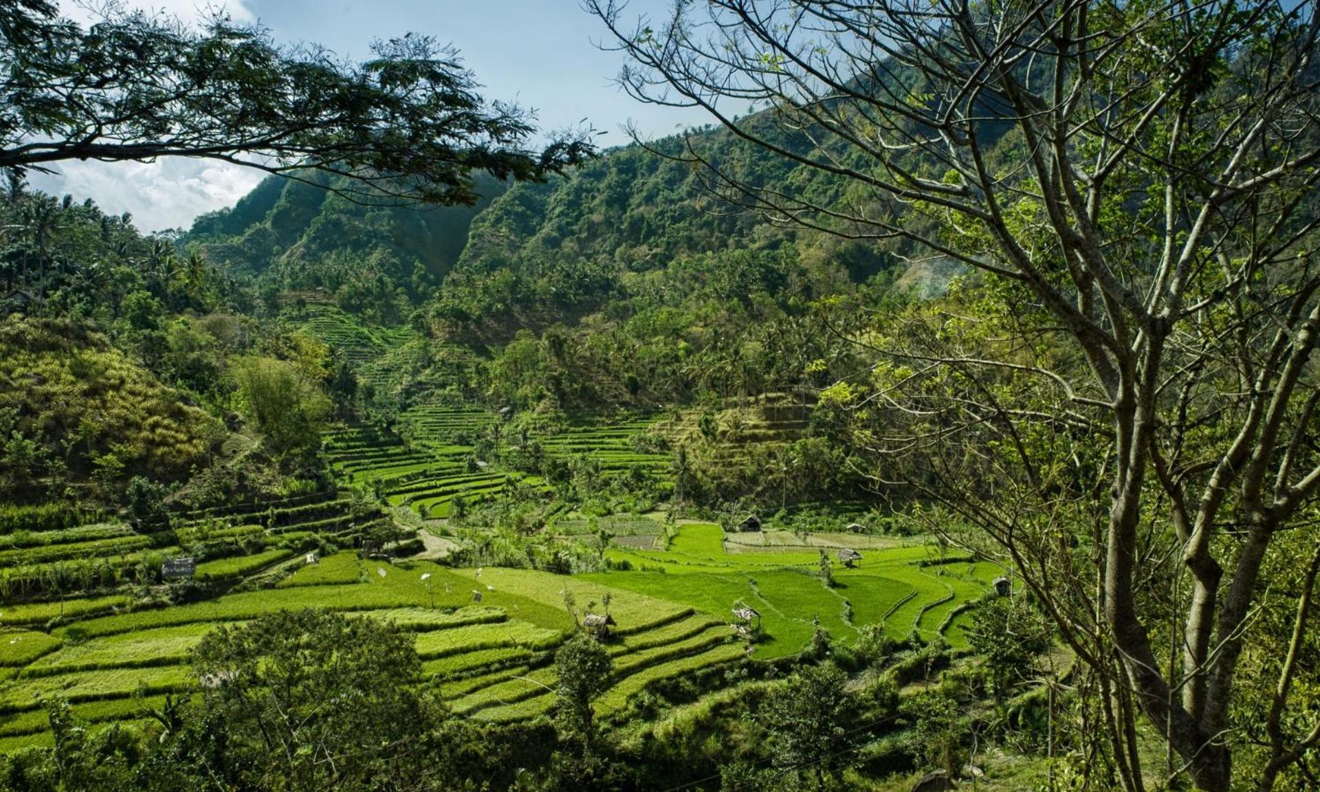 Retreat Villa Toraja Baturinggit Kubu Kültér fotó